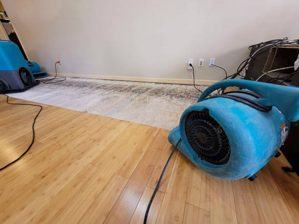 Professional Water Removal technician working in Brunswick, GA